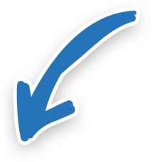 Seta